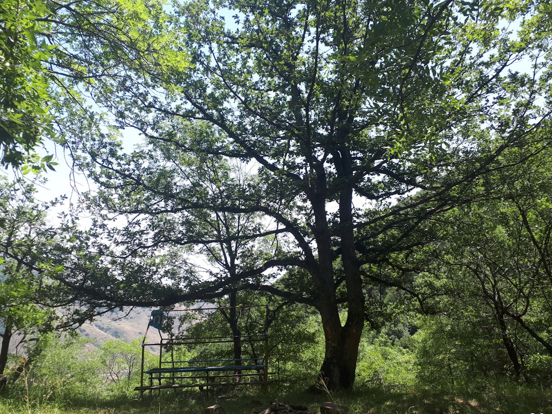 Natural landscape photo spot Arzakan Tsakhkadzor