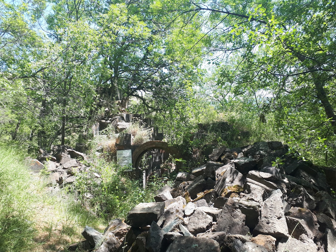 Forest photo spot Ô³Õ°Õ¸Ö‚Õ¯Õ« Õ¾Õ¡Õ¶Ö„ Aghveran