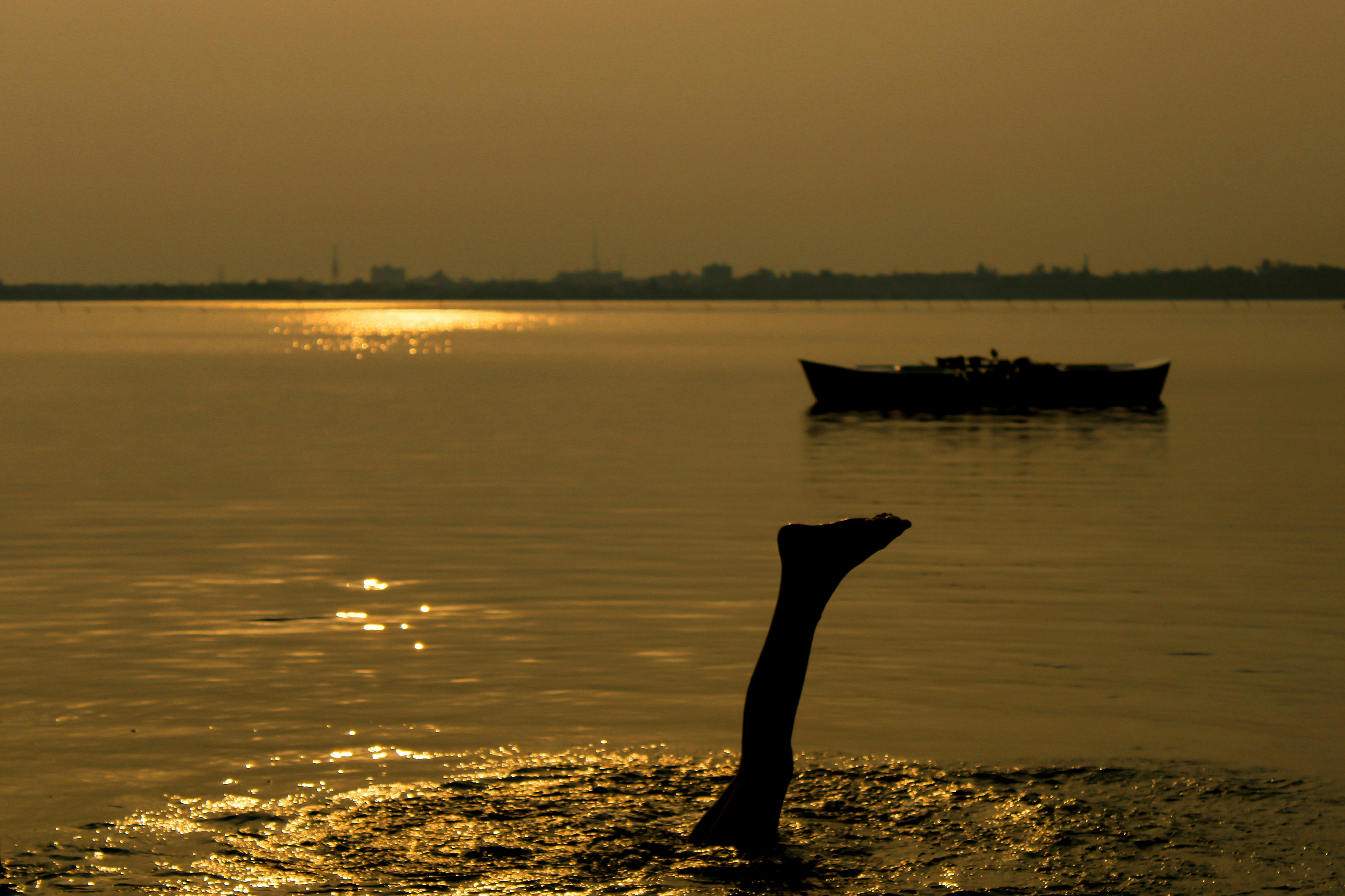 Photo by 7408234985dm