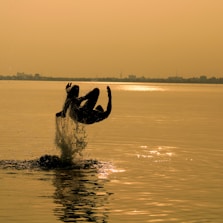 silhouette of man surfing on sea during sunset