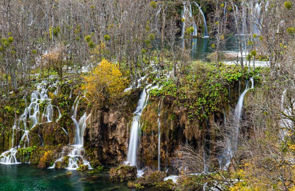 water falls in the middle of forest