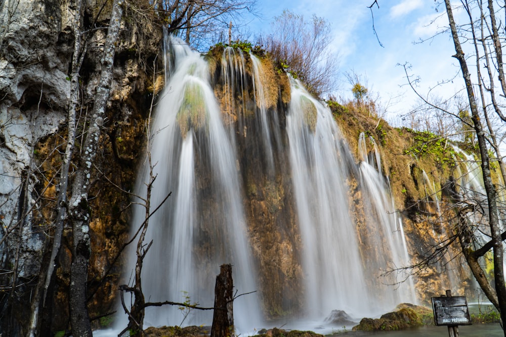 water falls in the forest