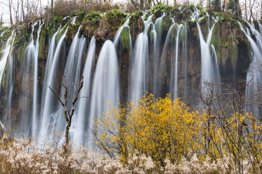 yellow leaf trees near waterfalls during daytime