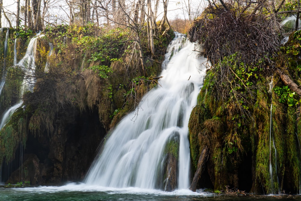 waterfalls in the forest during daytime