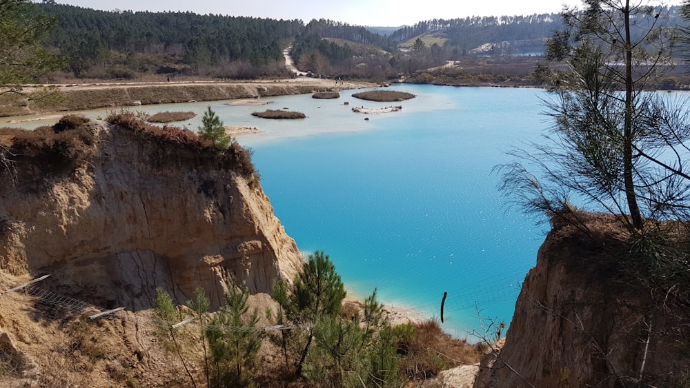 green trees beside blue lake during daytime