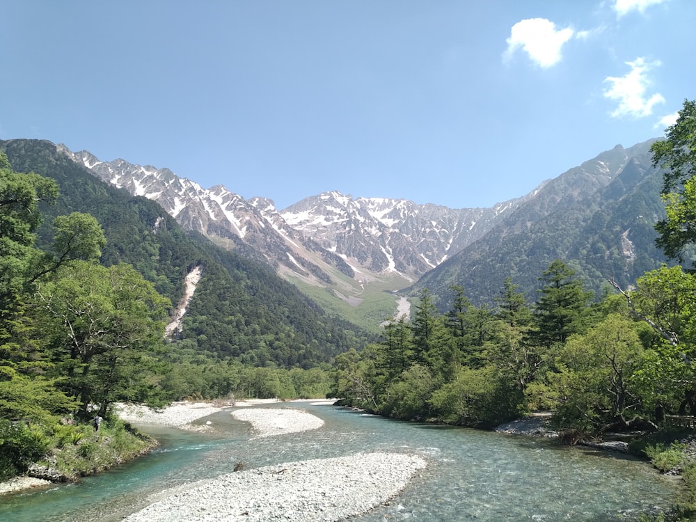 Árboles verdes cerca del lago y las montañas durante el día