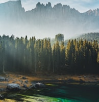 green pine trees near lake during daytime