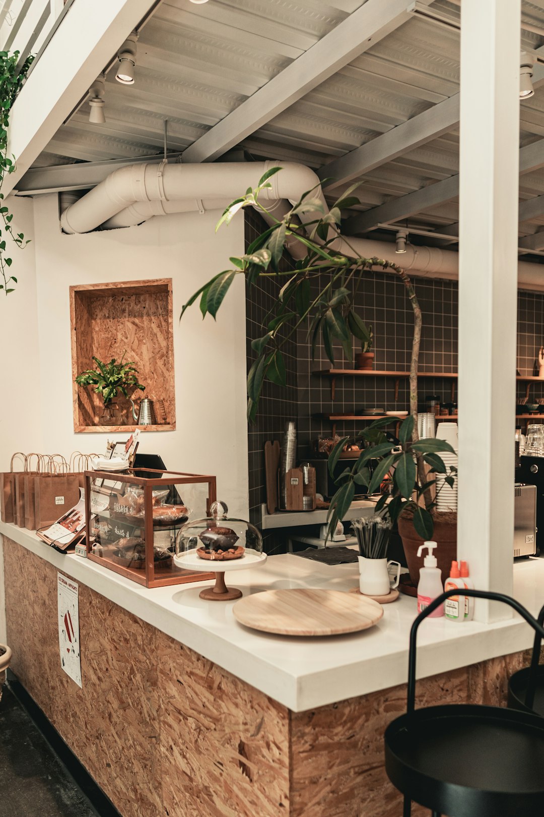 green potted plant on brown wooden table