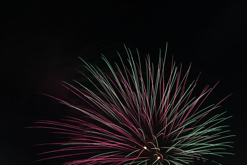 red and white fireworks display