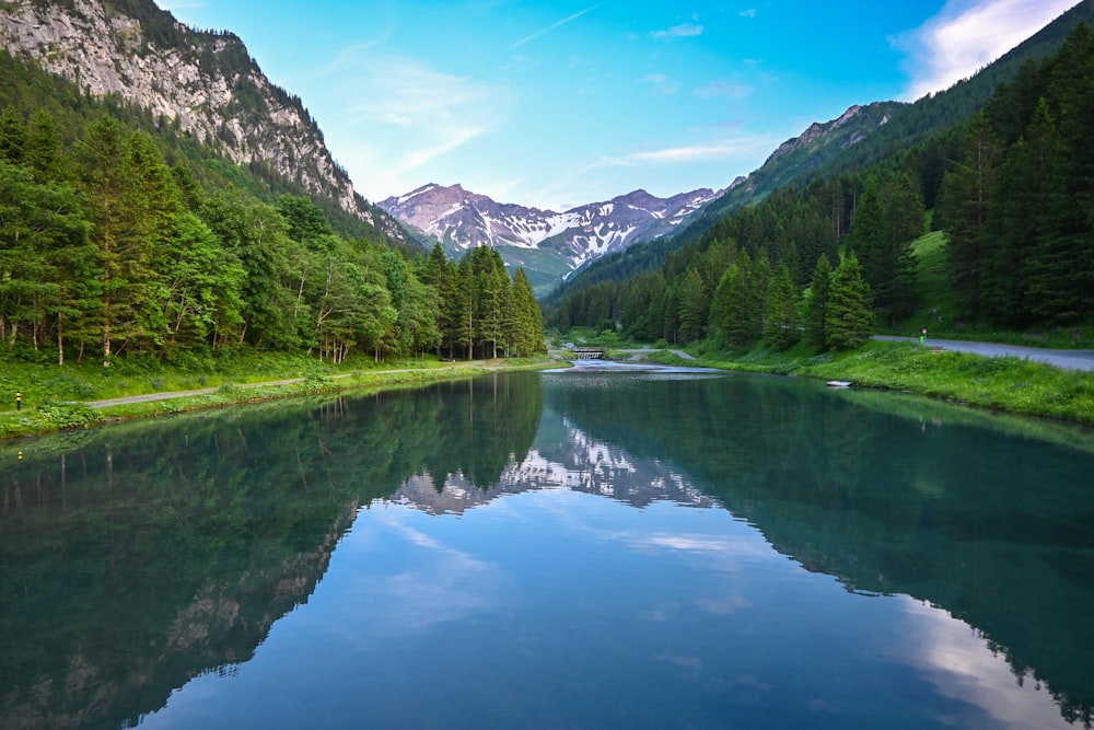 alberi verdi vicino al lago e alle montagne sotto il cielo blu durante il giorno