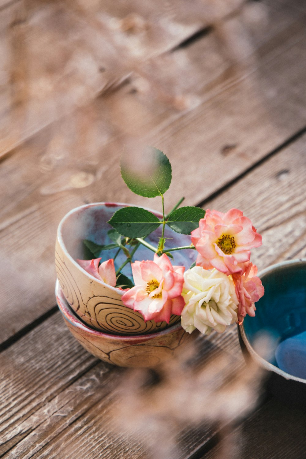 pink and yellow flower in blue ceramic bowl