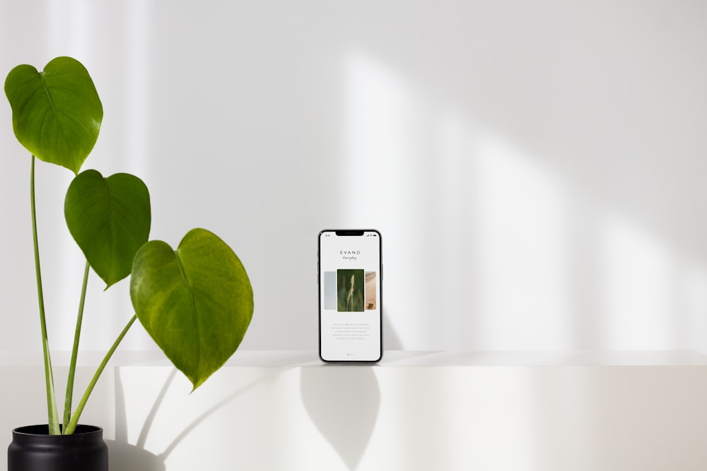 white iphone 5 c on white table