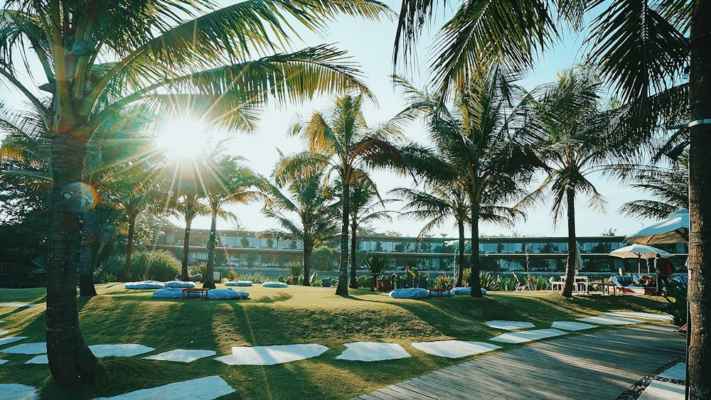 palm trees near body of water during daytime