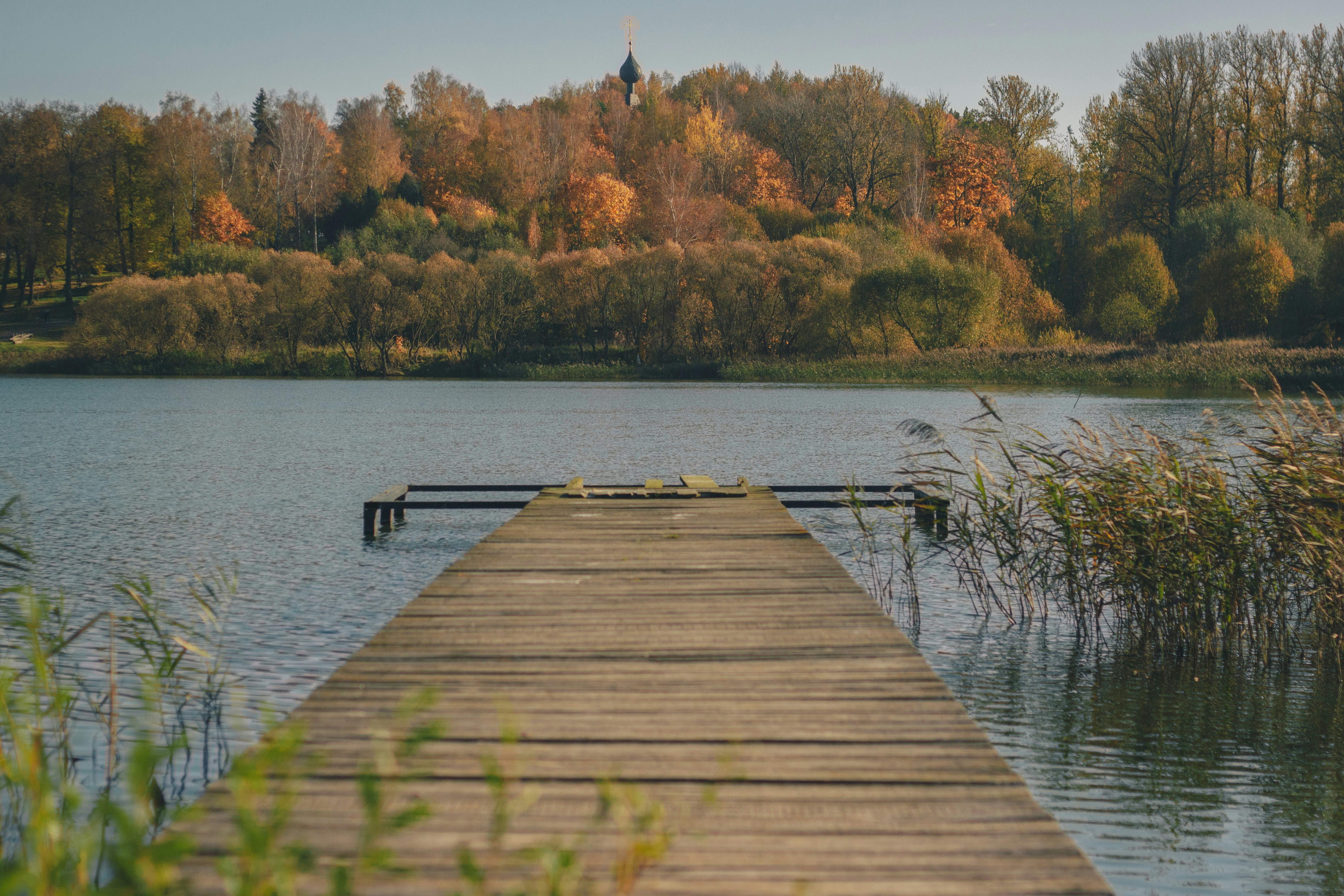 brown wooden dock on lake during daytime