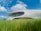 A modern, futuristic building with a smooth, curved design is nestled in a vibrant green field under a bright blue sky dotted with fluffy white clouds. Large windows wrap around the upper level, offering panoramic views.