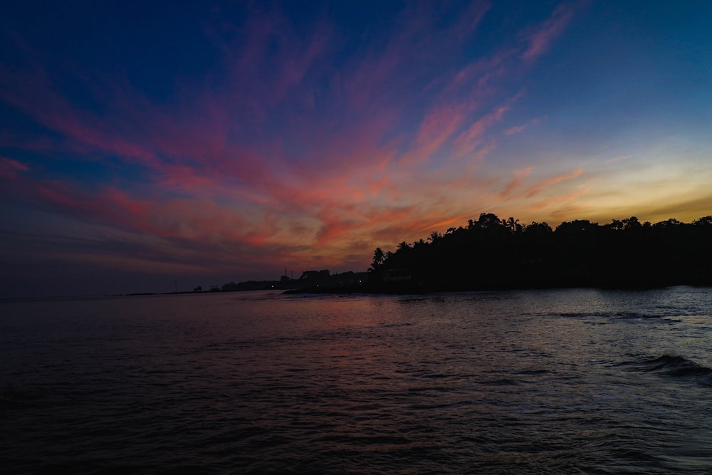 silhouette of trees near body of water during sunset