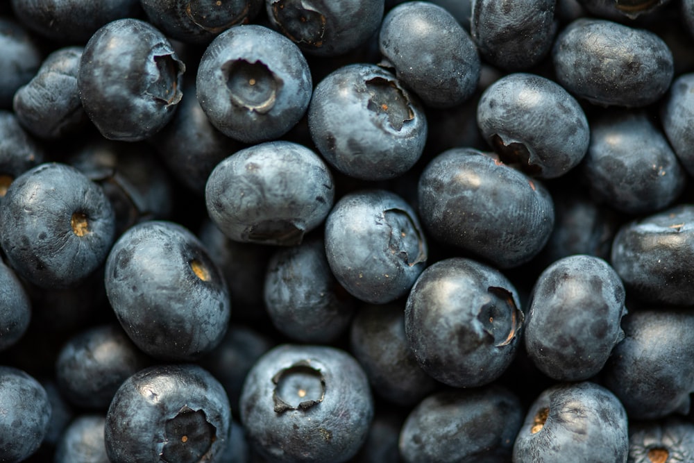 Frutas redondas negras en fotografía de primer plano