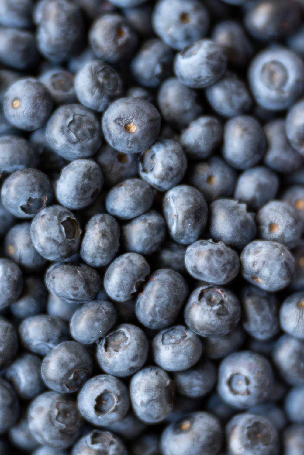 black round fruits in close up photography