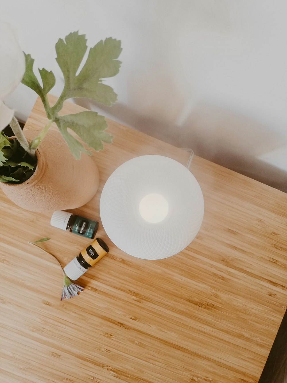 white flower on brown wooden table