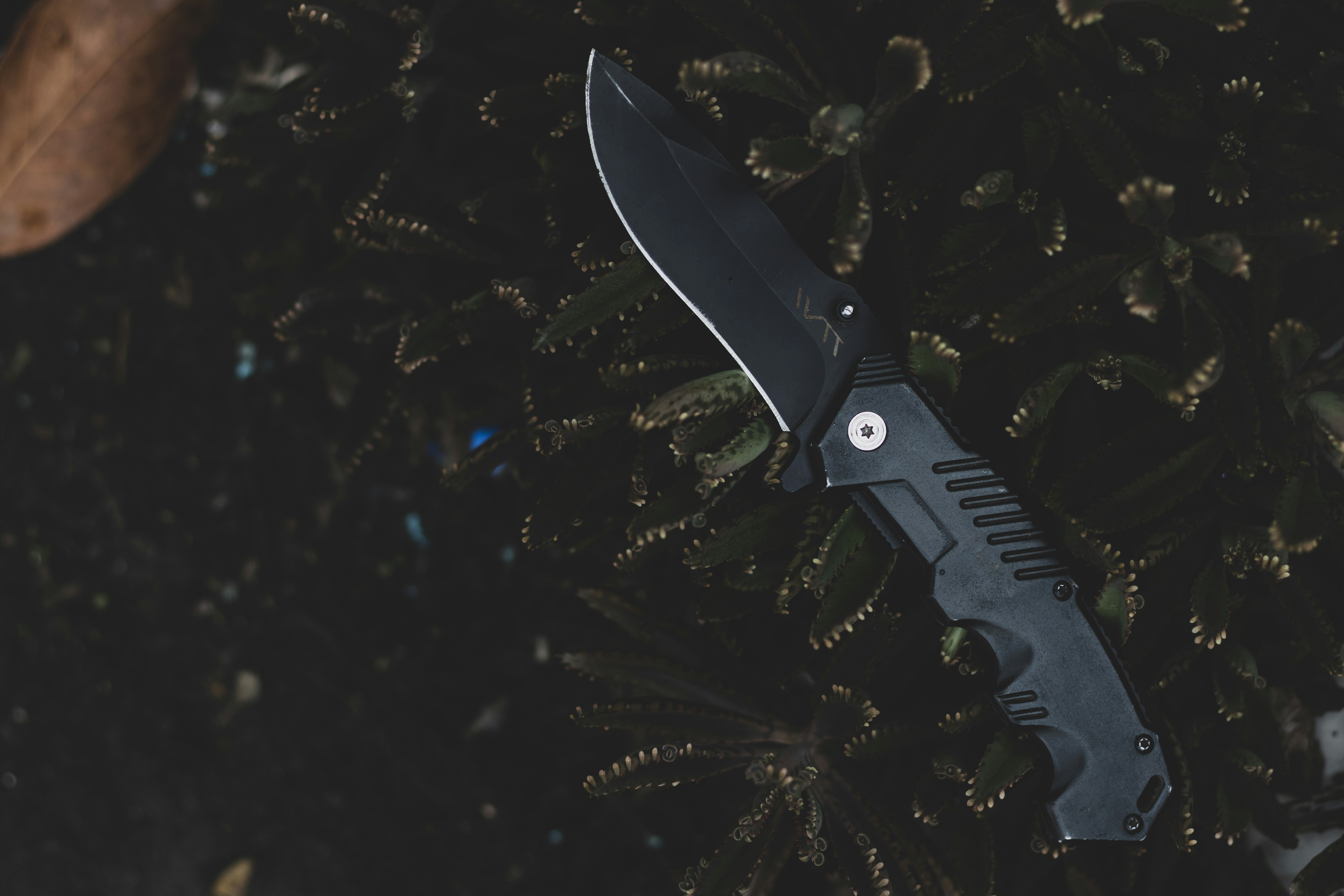 black and silver knife on green christmas tree