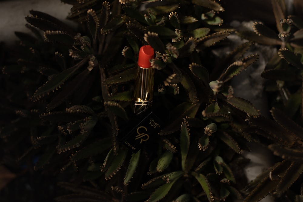 red lipstick on green pine tree