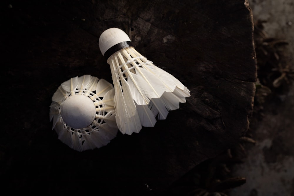 white paper lantern on black surface