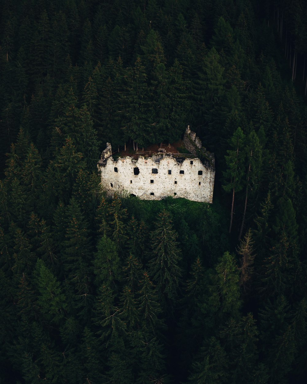 white concrete building in the middle of forest