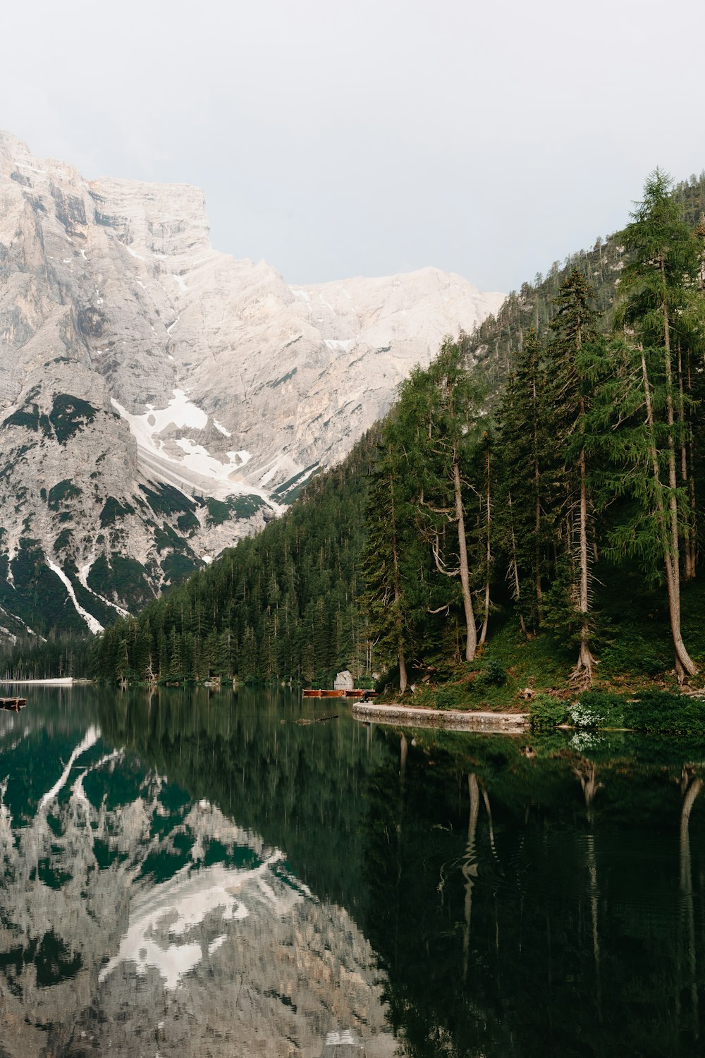 green trees near lake and snow covered mountain during daytime