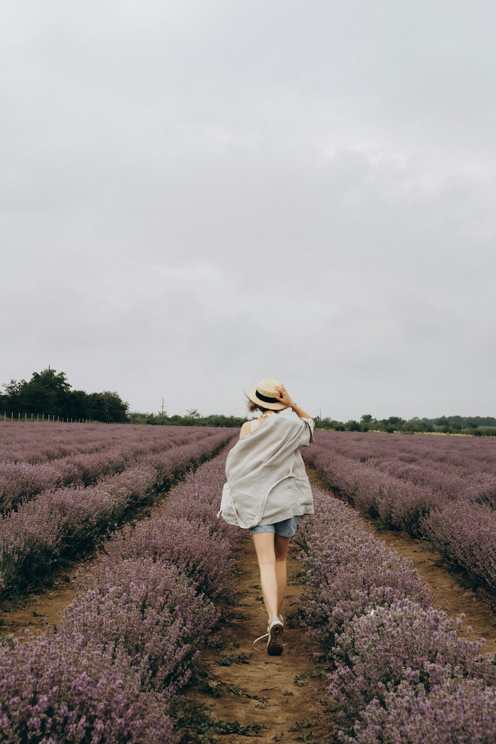 donna in abito bianco in piedi sul campo di fiori viola durante il giorno