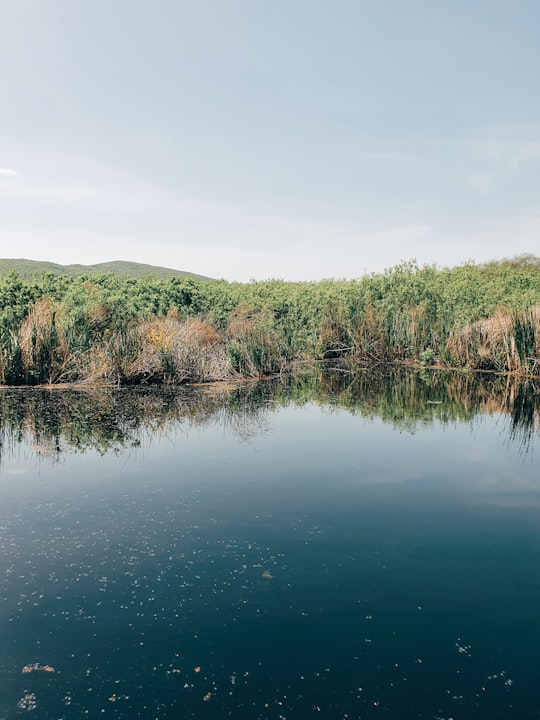 Arkutino things to do in Sinemorets