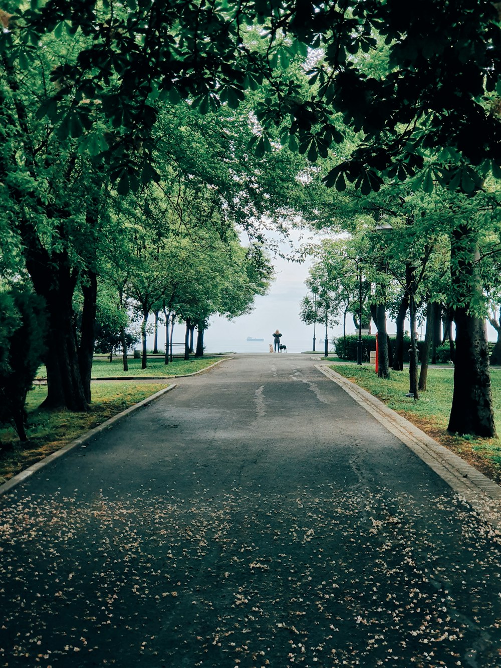 pessoa na jaqueta preta andando na estrada de concreto cinza durante o dia