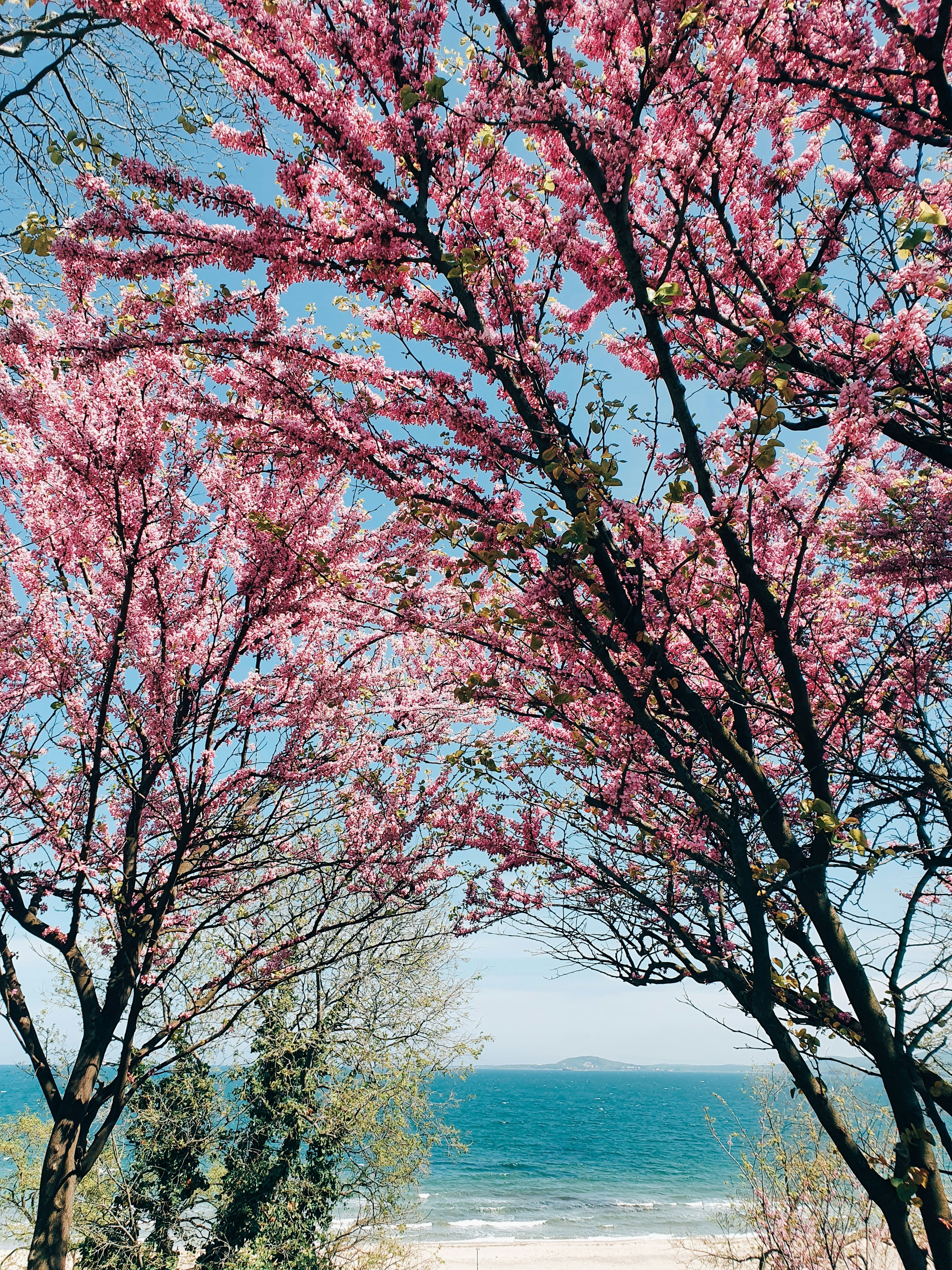 Photo by hrsahatchiev