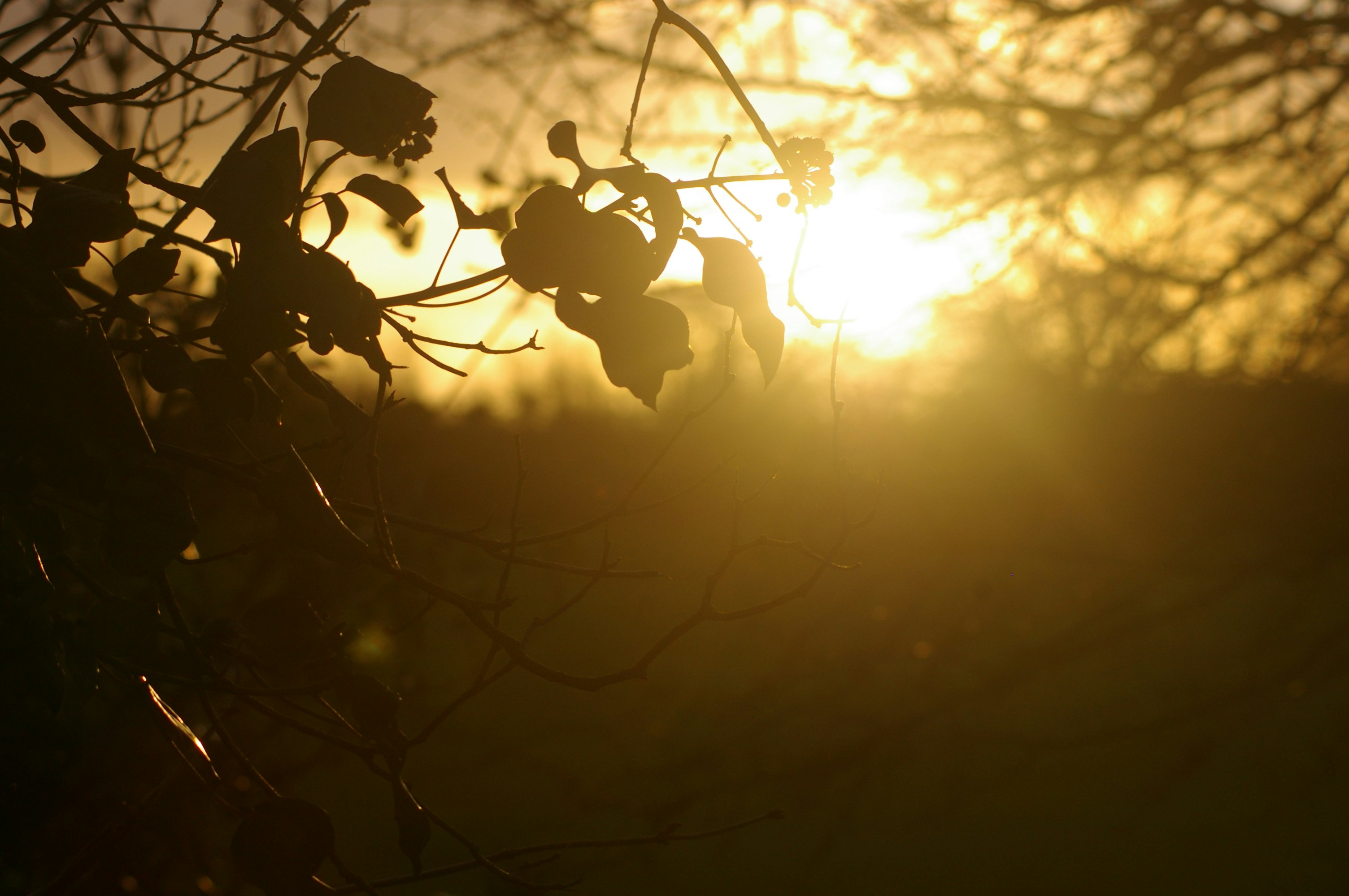 All things must pass