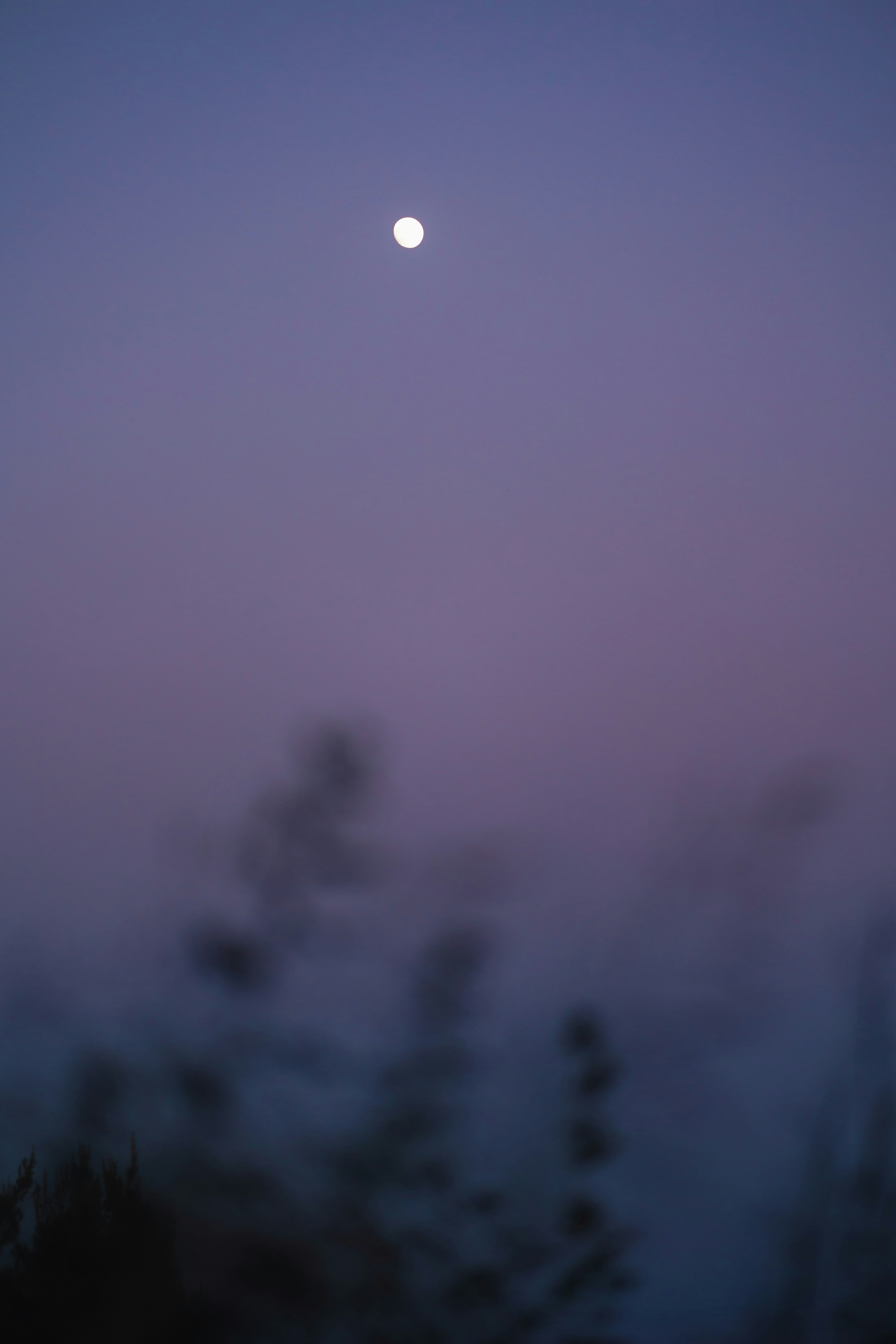 Photo by alex_gruber