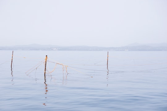 brown wooden stick on body of water during daytime in Ksamil Islands Albania