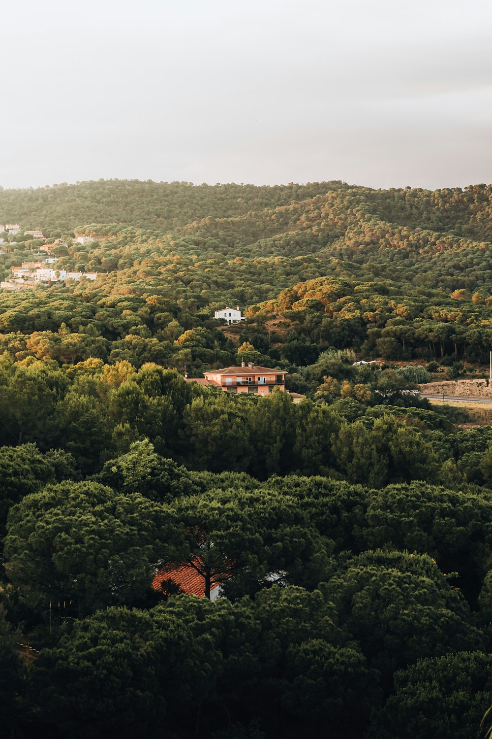 green trees and brown house during daytime