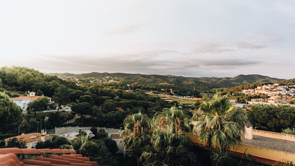 aerial view of green trees and buildings during daytime