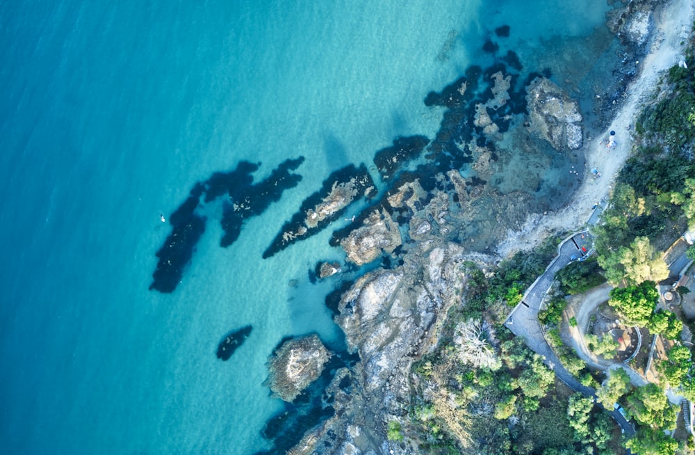 aerial view of green trees on island during daytime