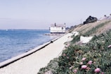 A coastal scene featuring a small house close to the shoreline. The house sits on a slight elevation overlooking the calm sea. The foreground has a pathway lined with green foliage and pink flowers leading to the house. The background includes a clear sky and a distant view of the horizon with a few sailboats visible on the water.