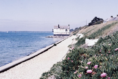 A coastal scene featuring a small house close to the shoreline. The house sits on a slight elevation overlooking the calm sea. The foreground has a pathway lined with green foliage and pink flowers leading to the house. The background includes a clear sky and a distant view of the horizon with a few sailboats visible on the water.