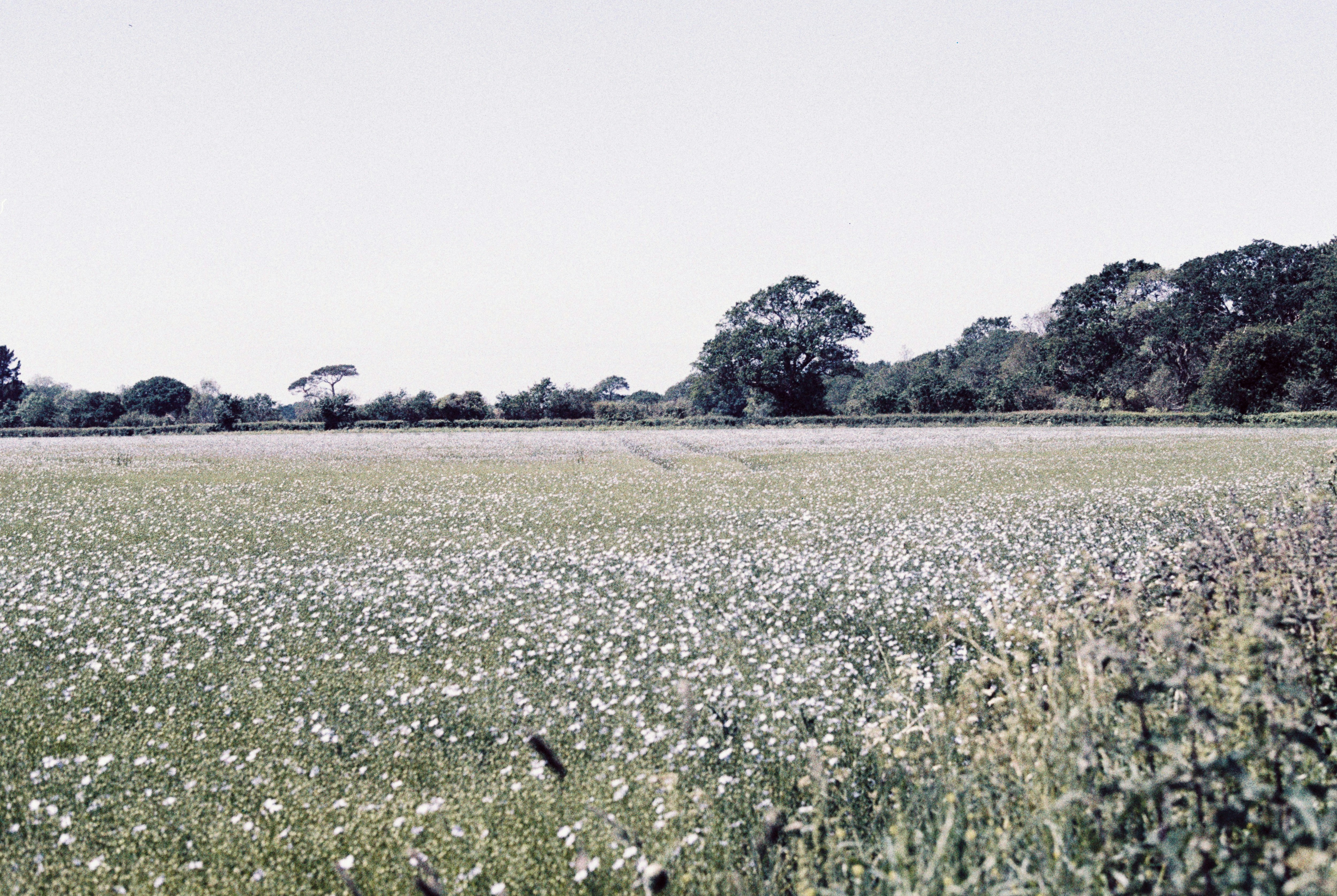 Photo by anniespratt