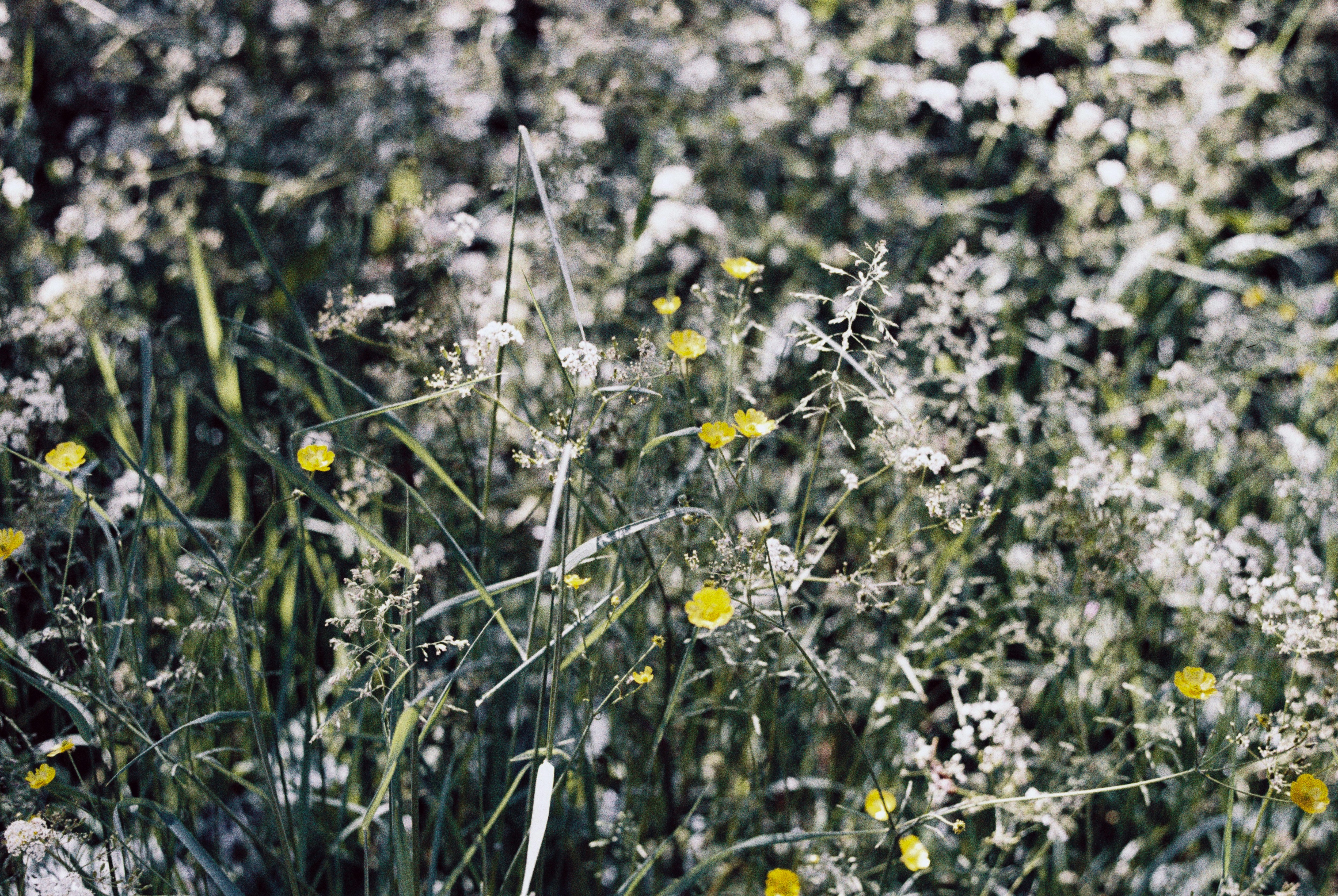 Photo by anniespratt