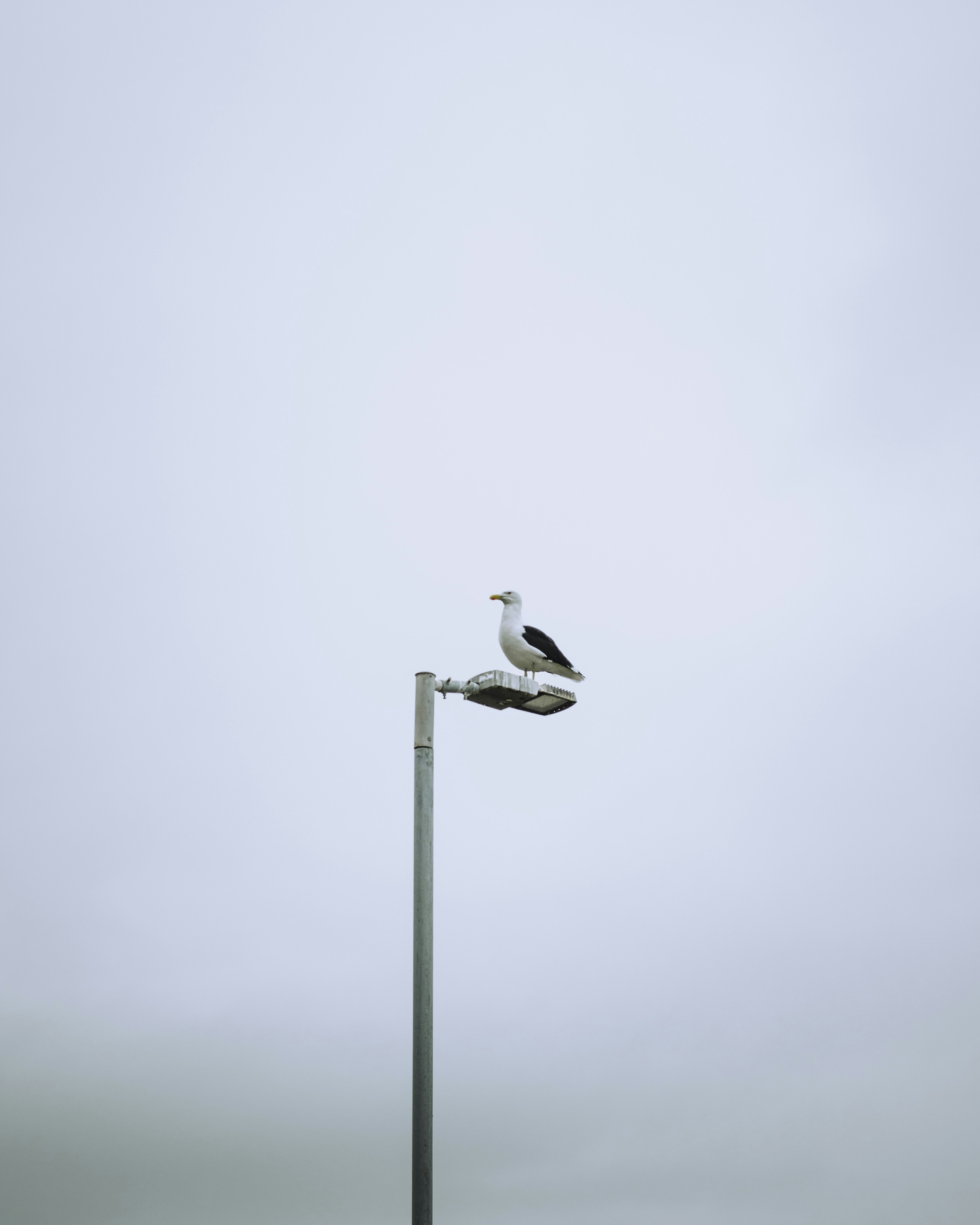 Photo by thehammockhermit