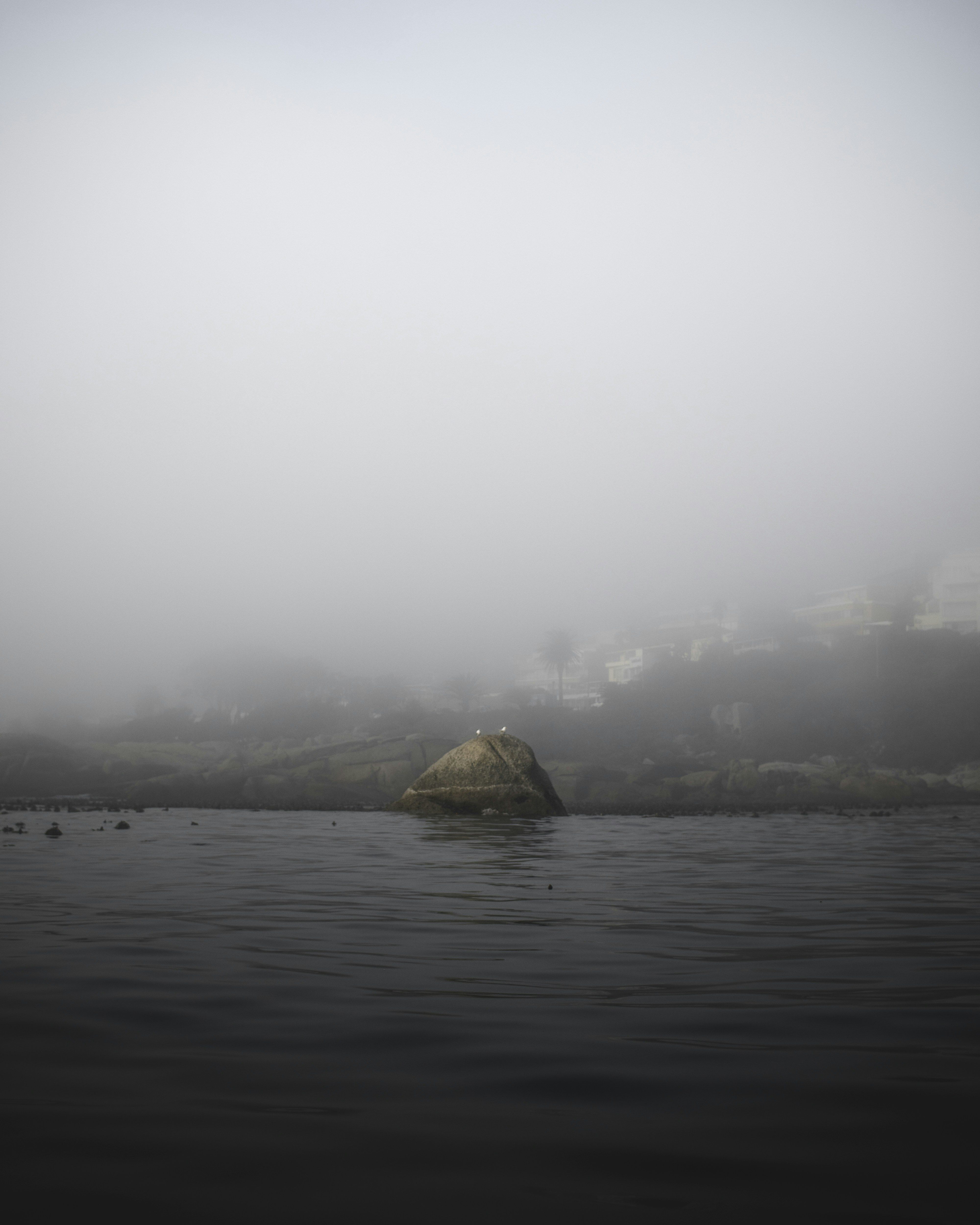 Photo by thehammockhermit