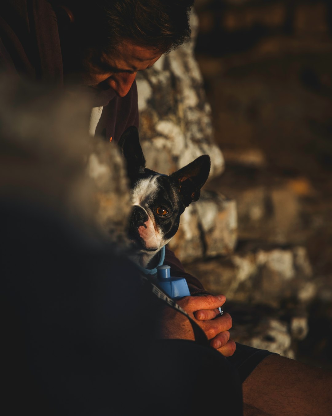 man in black long sleeve shirt holding black and white short coated dog