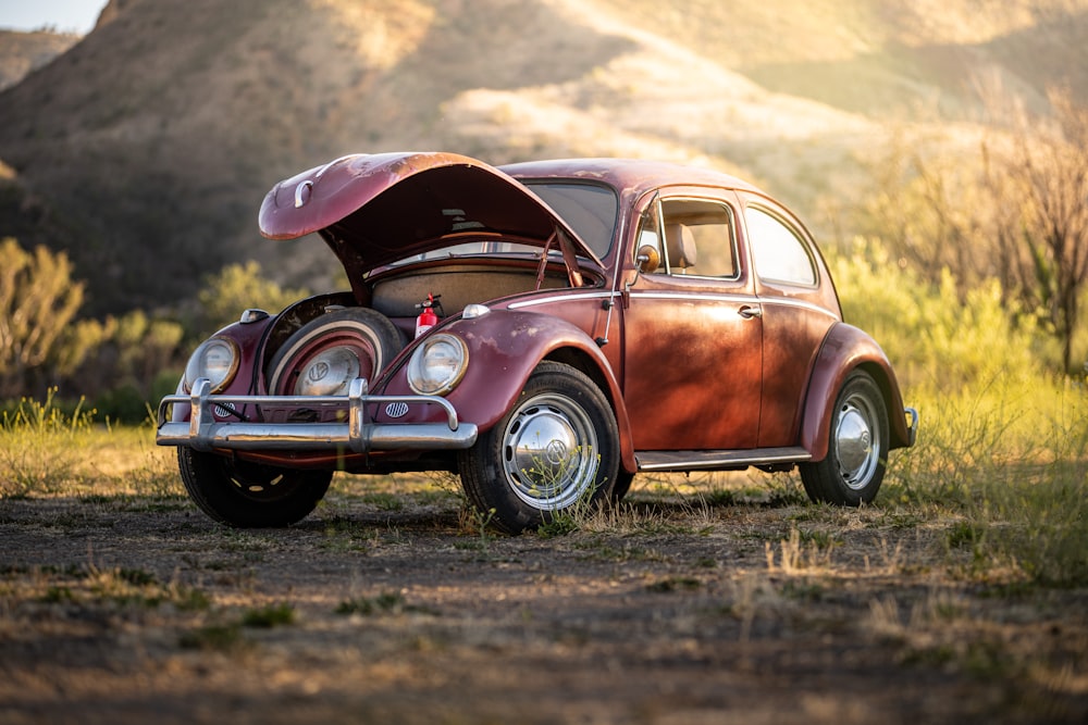 pink and white volkswagen beetle on brown field during daytime