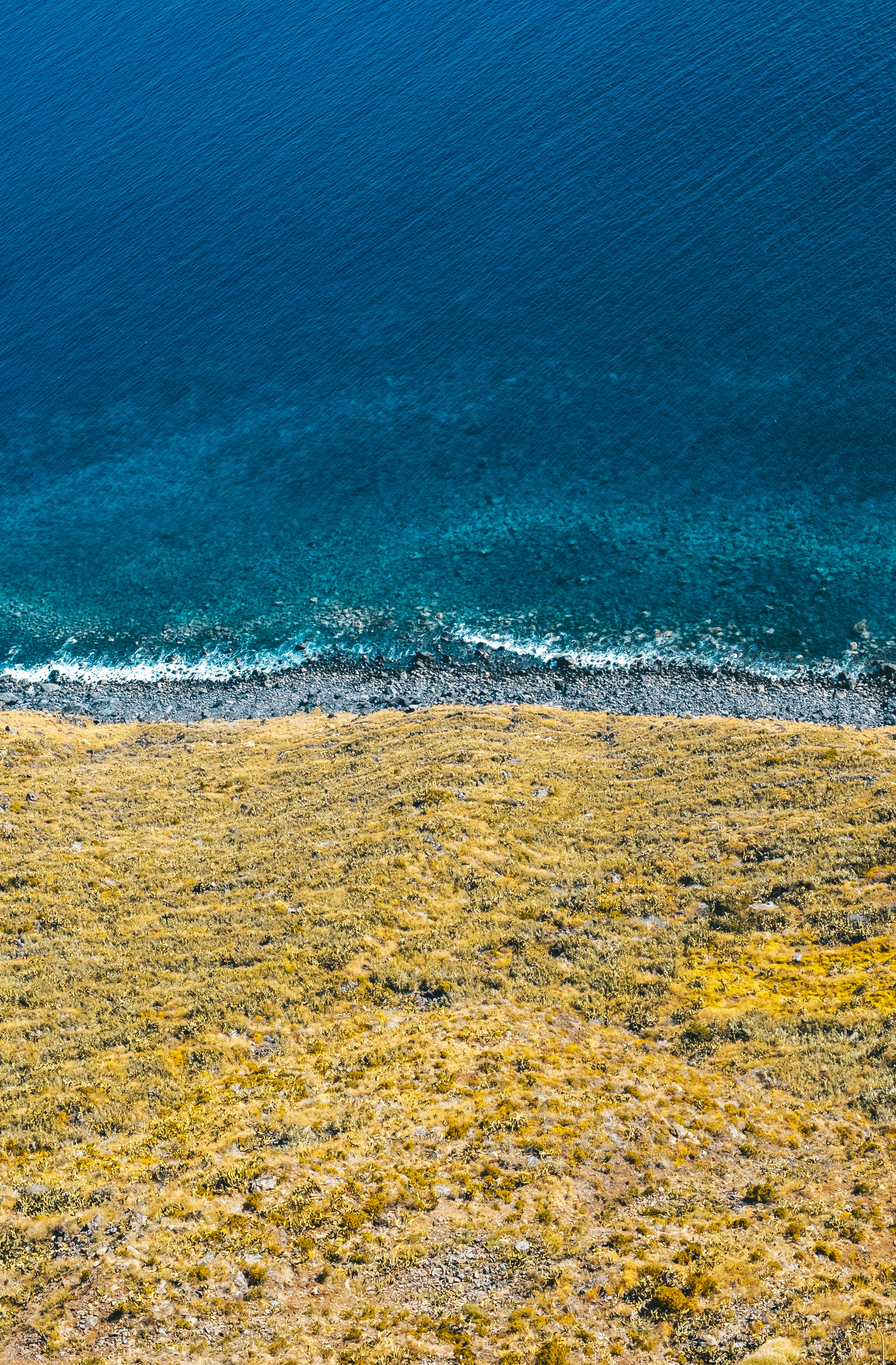 automation cost savings