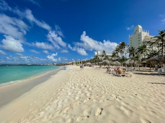 people on beach during daytime