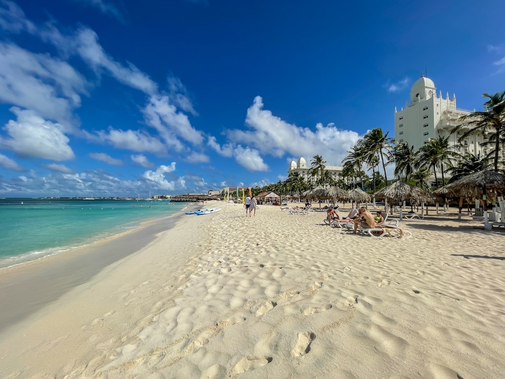 people on beach during daytime