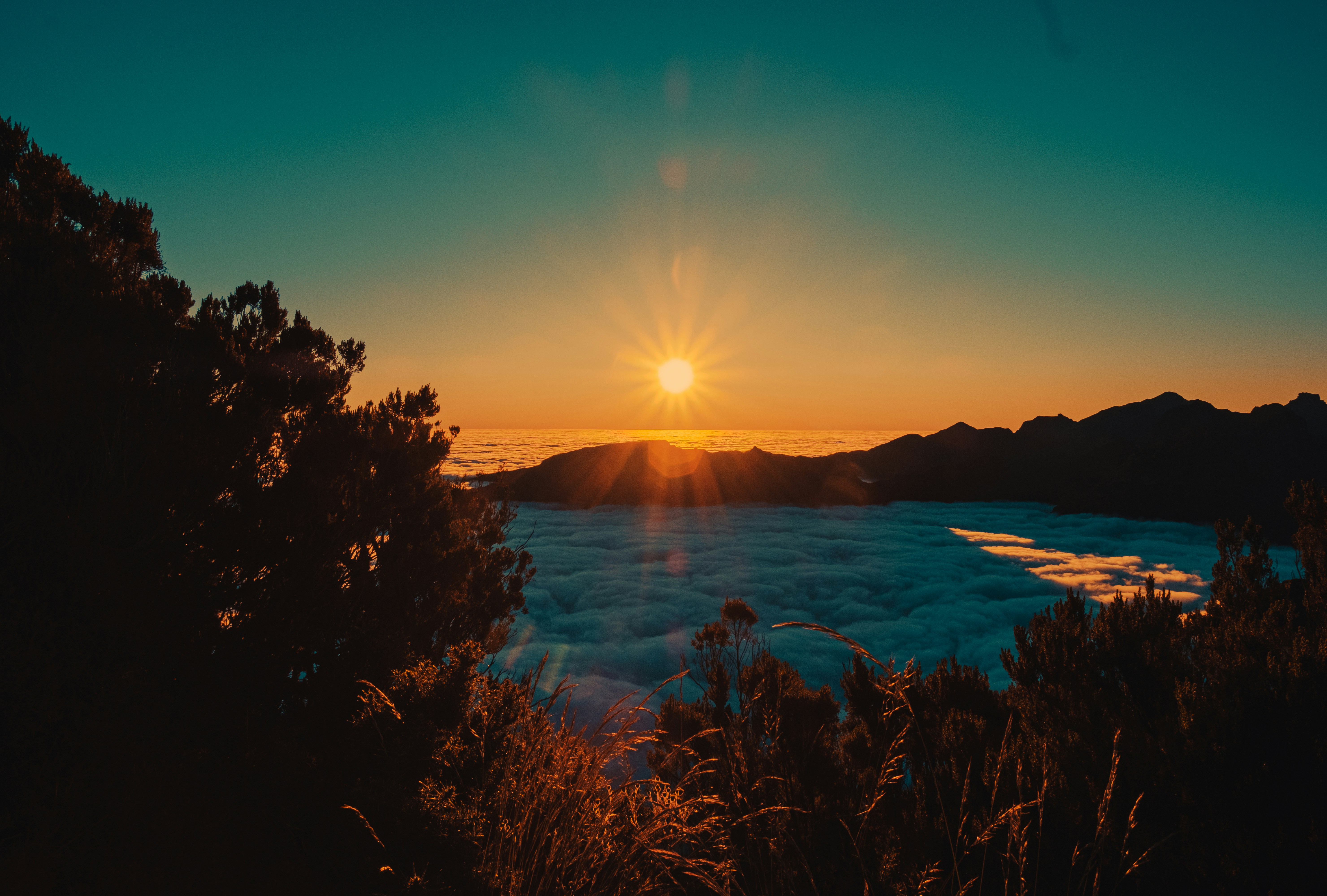 Photo by daniele_franchi